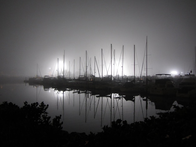 Foto un muelle con muchos barcos en el agua.