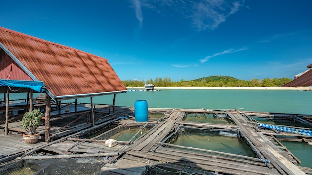 Muelle de pesca mar