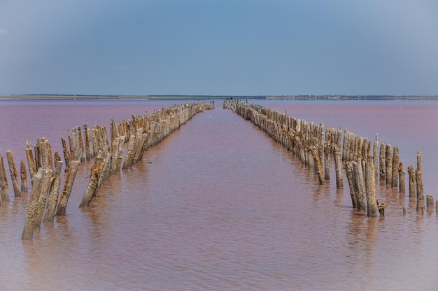 Muelles de madera en salt lake restos de madera en pink lake