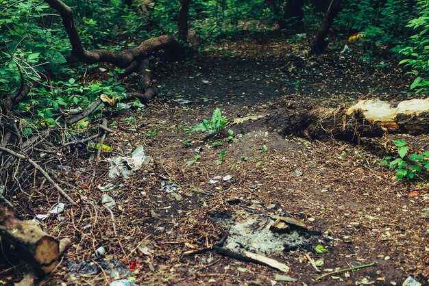 Foto müllhaufen im wald unter pflanzen.