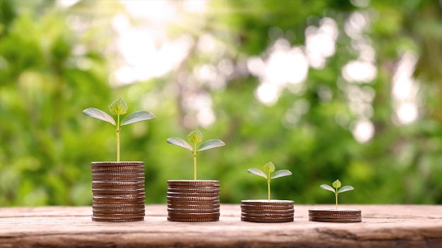 Münzen und Bäume werden auf Münzhaufen für Finanzen und Banken gepflanzt. Abwärtstrendkonzept für Investitionen, Investmentfonds, Finanzen und Unternehmen