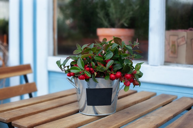 Muérdago de Navidad se encuentra en una mesa de madera