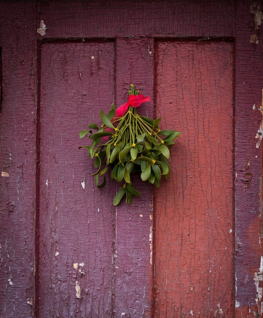 Muérdago verde de Navidad colgado en la vieja puerta agrietada.