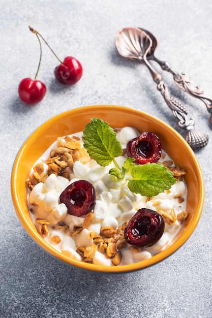 Muesli de coalhada de grãos com cerejas frescas em um prato. Conceito saudável café da manhã com queijo cottage e frutas.