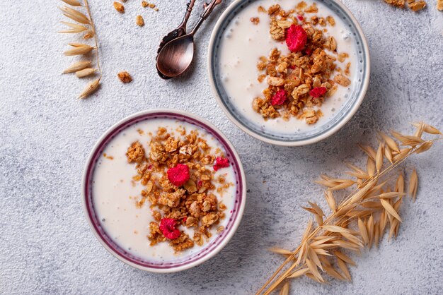 Müsli mit Joghurt und getrockneten Himbeeren