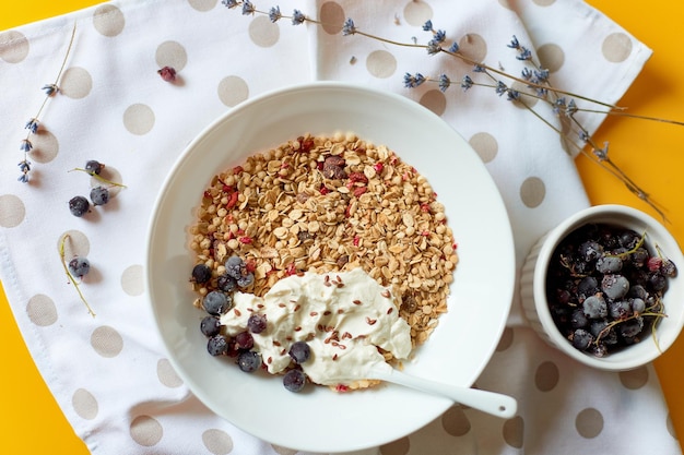 Müslifrühstück am Morgen mit griechischem Joghurt und Heidelbeere