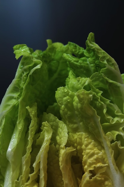 Se muestra una cabeza de lechuga romana en un recipiente de vidrio.