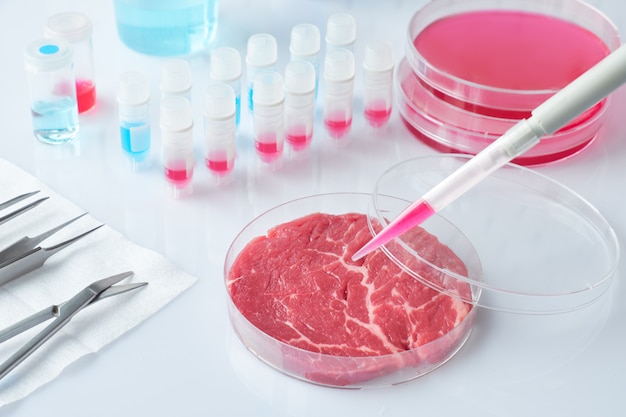 Muestra de carne en plato de cultivo celular de plástico desechable abierto en laboratorio moderno, concepto de carne limpia