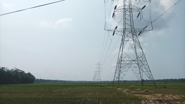 Se muestra una línea eléctrica en un campo con un campo en el fondo.