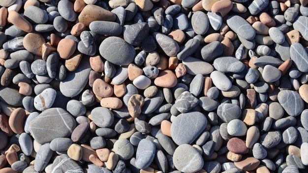 Foto se muestra un montón de rocas en una playa.