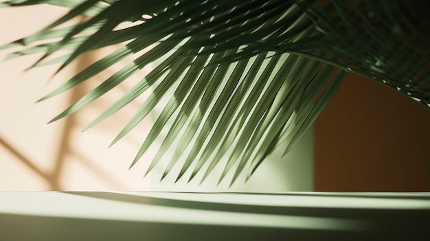 Se muestra una palmera en una habitación con una luz que brilla sobre ella.