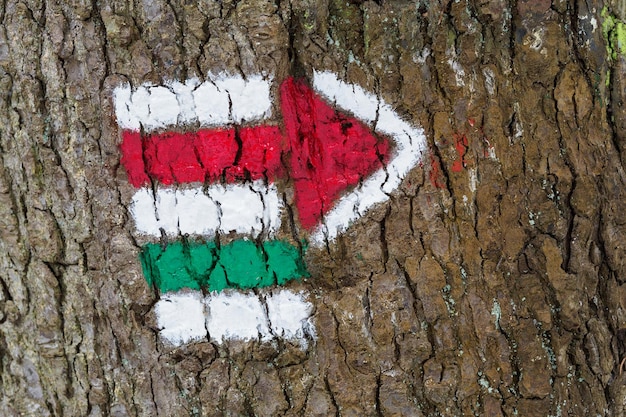 Muestras coloridas para hacer senderismo en la corteza de un árbol en forma de flecha