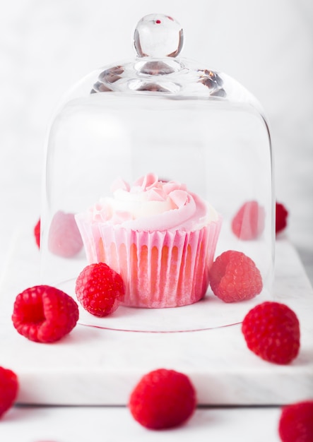 Muffin de cupcake com sobremesa de creme de framboesa