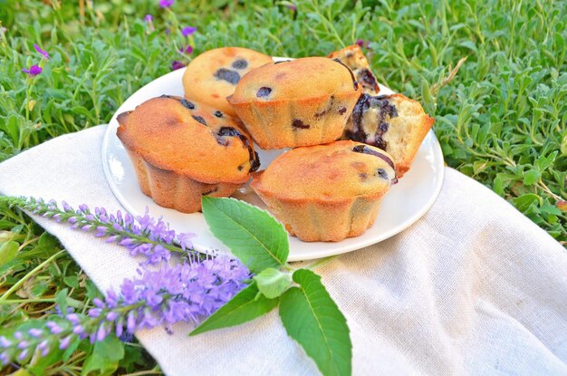 Muffins con arándanos y una ramita de menta