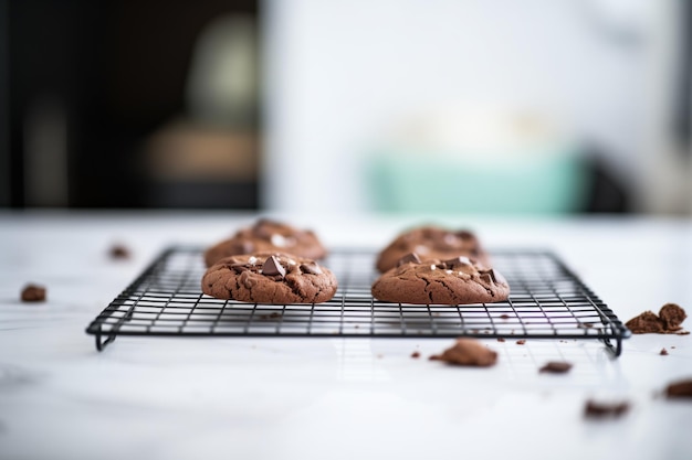 Muffins de chocolate dobles en una red de refrigeración