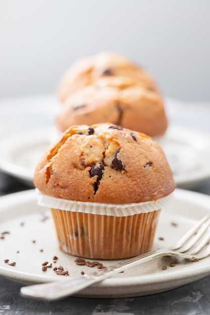 Muffins con chocolate en un plato blanco sobre fondo de cerámica