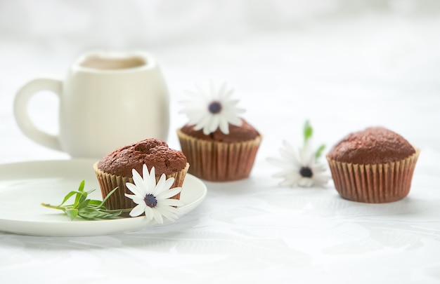 Muffins de chocolate servidos sobre fondo blanco.