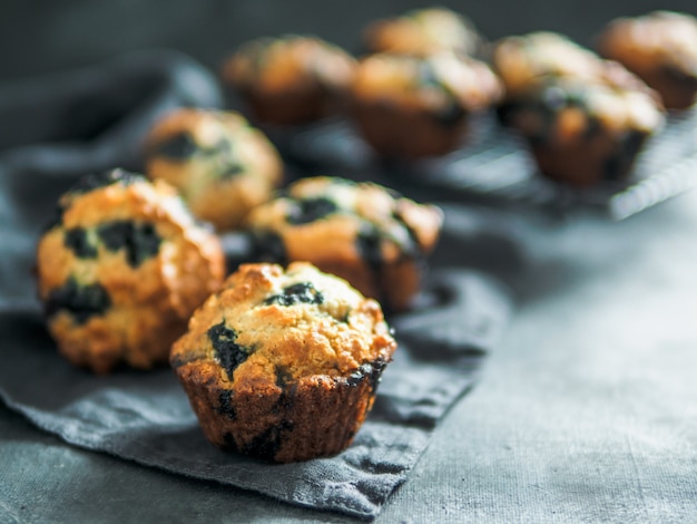 Muffins de mirtilo caseiros no escuro