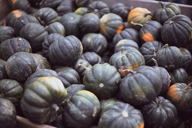 Muita abóbora no mercado de agricultores ao ar livre