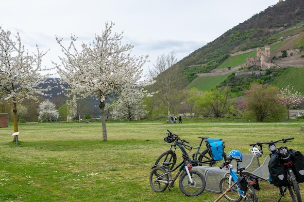 Muitas bicicletas no parque perto do pequeno rio na primavera