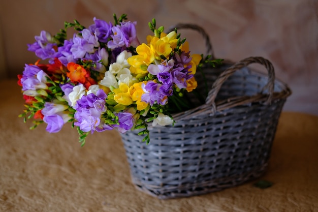 muitas frésias coloridas na cesta