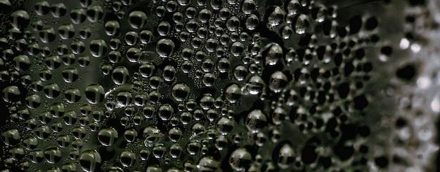 Muitas gotas de chuva de água condensação de janela molhada no vidro Fundo fresco Texturas formadas por bolhas Superfície clara coleção Foto real abstrata bonito papel de parede bonito romântico Verde escuro Marrom verde escuro