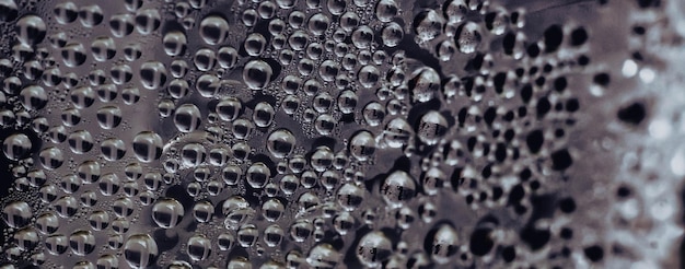 Muitas gotas de chuva de água condensação de janela molhada no vidro Fundo fresco Texturas formadas por bolhas Superfície clara coleção Foto real abstrata bonito romântico bonito papel de parede Cor cinza escuro