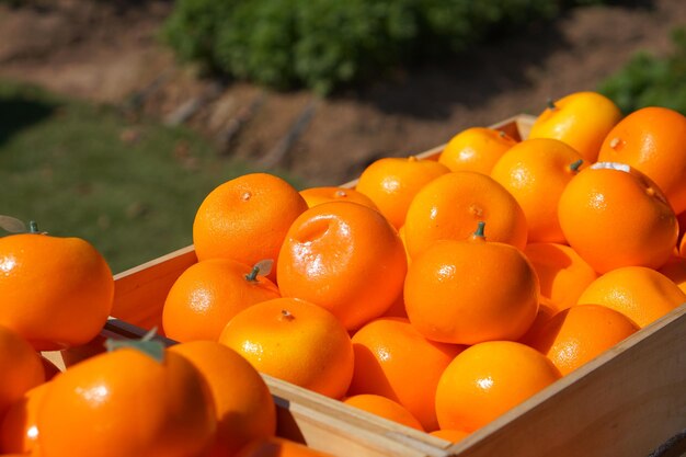 Muitas laranjas em uma caixa