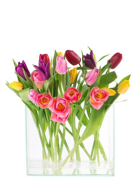 Muitas lindas tulipas coloridas com folhas em um vaso de vidro isolado em uma superfície transparente