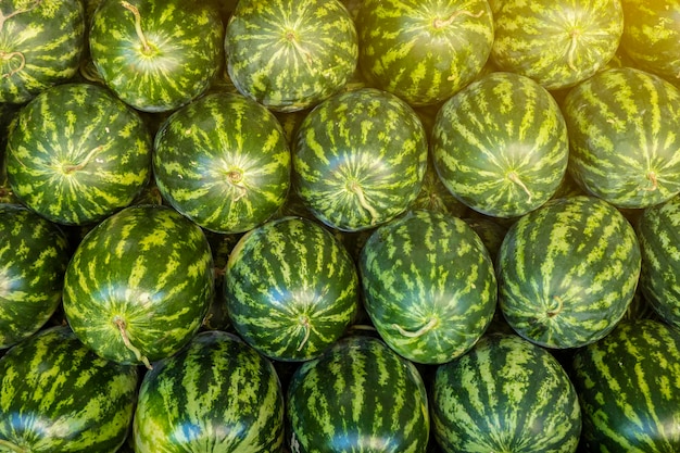 Foto muitas melancias verdes doces grandes usadas para textura de fundo