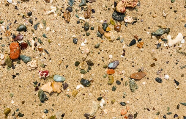 muitas pedras coloridas e corais em uma areia fina na praia