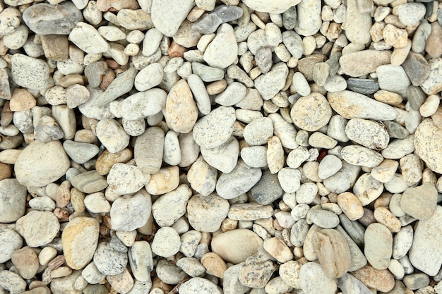 Muitas pedras na praia