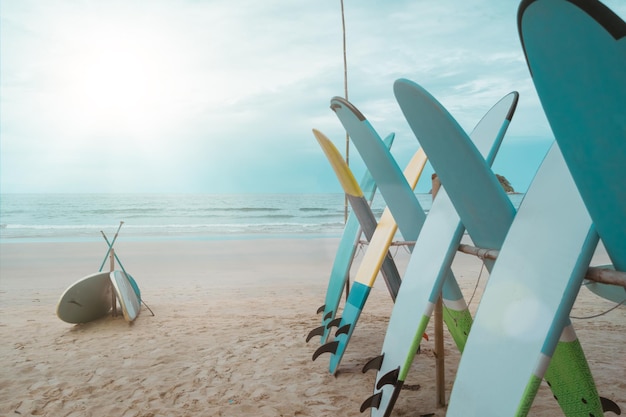 Muitas pranchas de surf para alugar na praia de verão com céu azul da luz solar