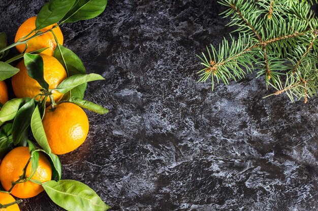 Muitas tangerinas laranjas de natal com folhas verdes e pinheiros em fundo escuro com espaço de cópia