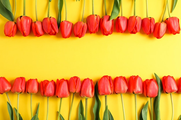 Muitas tulipas vermelhas lindas com folhas verdes em amarelo