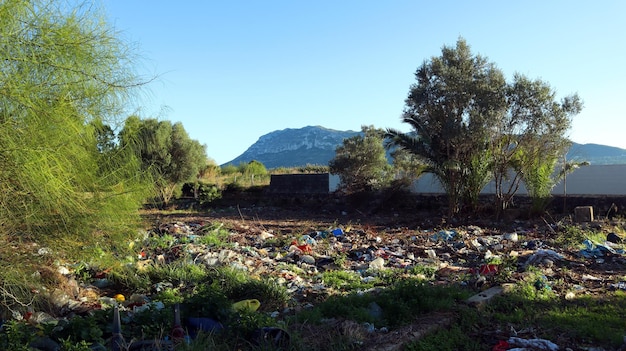 Muito lixo na bela paisagem natural, depósito de lixo, poluição ambiental, dano humano