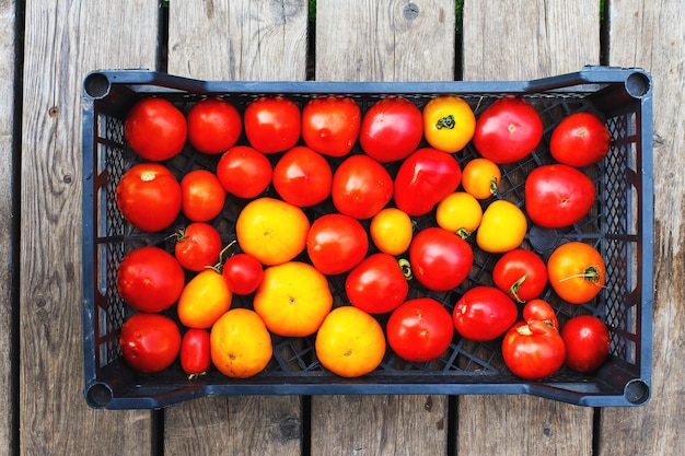 Muito tomate em uma caixa em um fundo de madeira