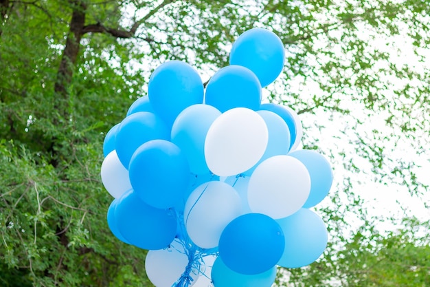 muitos balões brancos azuis contra o céu azul ou a natureza verde da árvore lá fora.