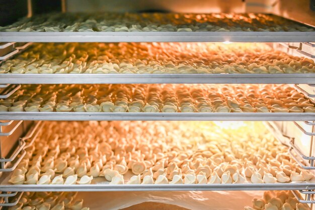 Muitos bolinhos congelados na geladeira de fabricação aberta. Prateleiras de armazenamento de alimentos semi-acabados congelados.