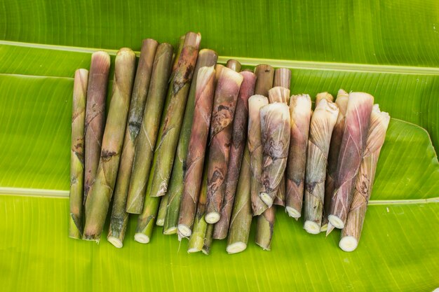 Foto muitos brotos de bambu perenes em folhas de banana