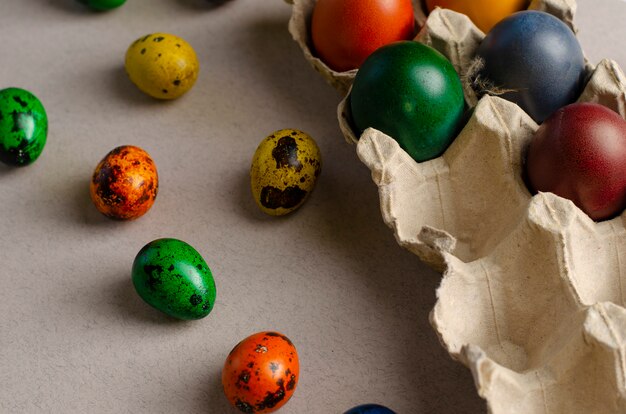 Muitos codorna e frango ovos coloridos para a Páscoa em uma bandeja de ovo e fora, conceito de Páscoa