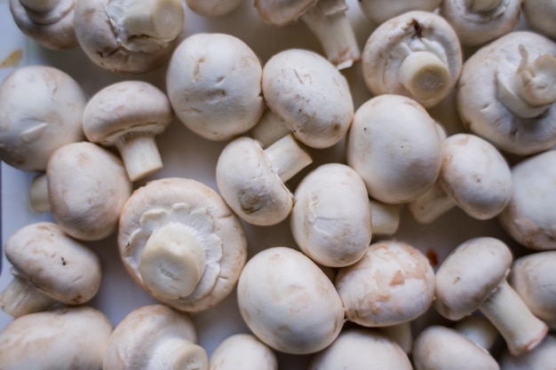 Muitos cogumelos champignon na mesa