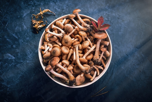 Muitos cogumelos novos crus em um prato, servindo em uma mesa escura