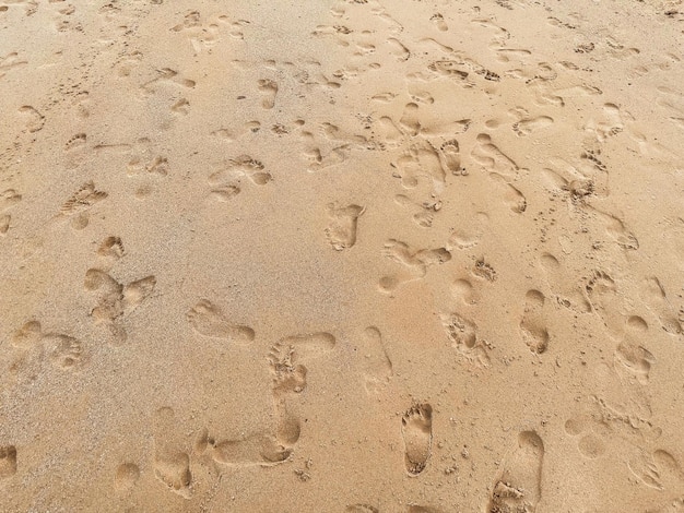 Muitos deixando pegadas na areia Closeup pegada de muitas pessoas do passo do pé caminhando em muitas direções na praia de areia Conceito de plano de fundo de verão de viagens de praia