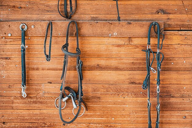 muitos freios e arreios de couro na parede do estábulo na fazenda Fundo para a apresentação de equipamentos de equitação