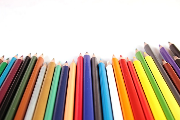 Muitos lápis multicoloridos estão em uma fileira em um fundo branco