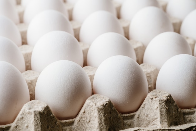 Muitos ovos de galinha branca com comida na bandeja
