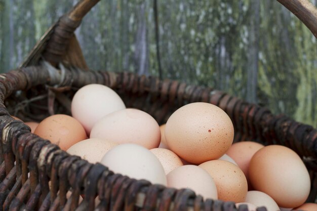 Foto muitos ovos de galinha frescos em uma cesta