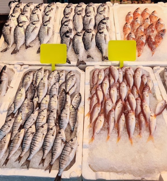 Muitos peixes de frutos do mar frescos diferentes no balcão da loja
