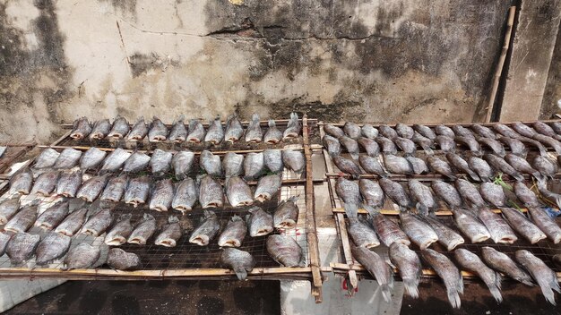 Foto muitos peixes secos ao sol trichogaster pectoralis preservação de alimentos na tailândia